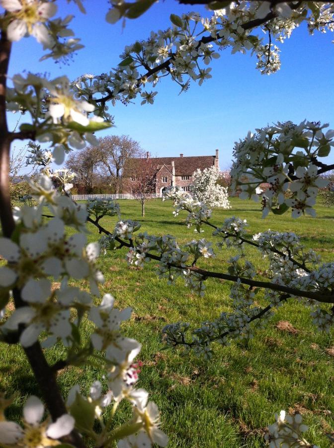 Bed and Breakfast Seymours Court Beckington Esterno foto