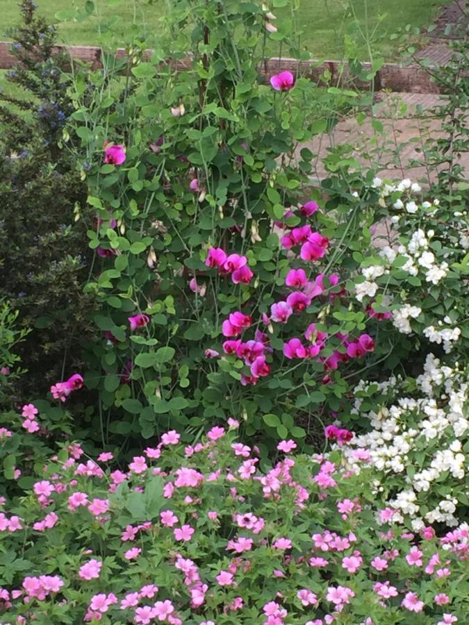 Bed and Breakfast Seymours Court Beckington Esterno foto