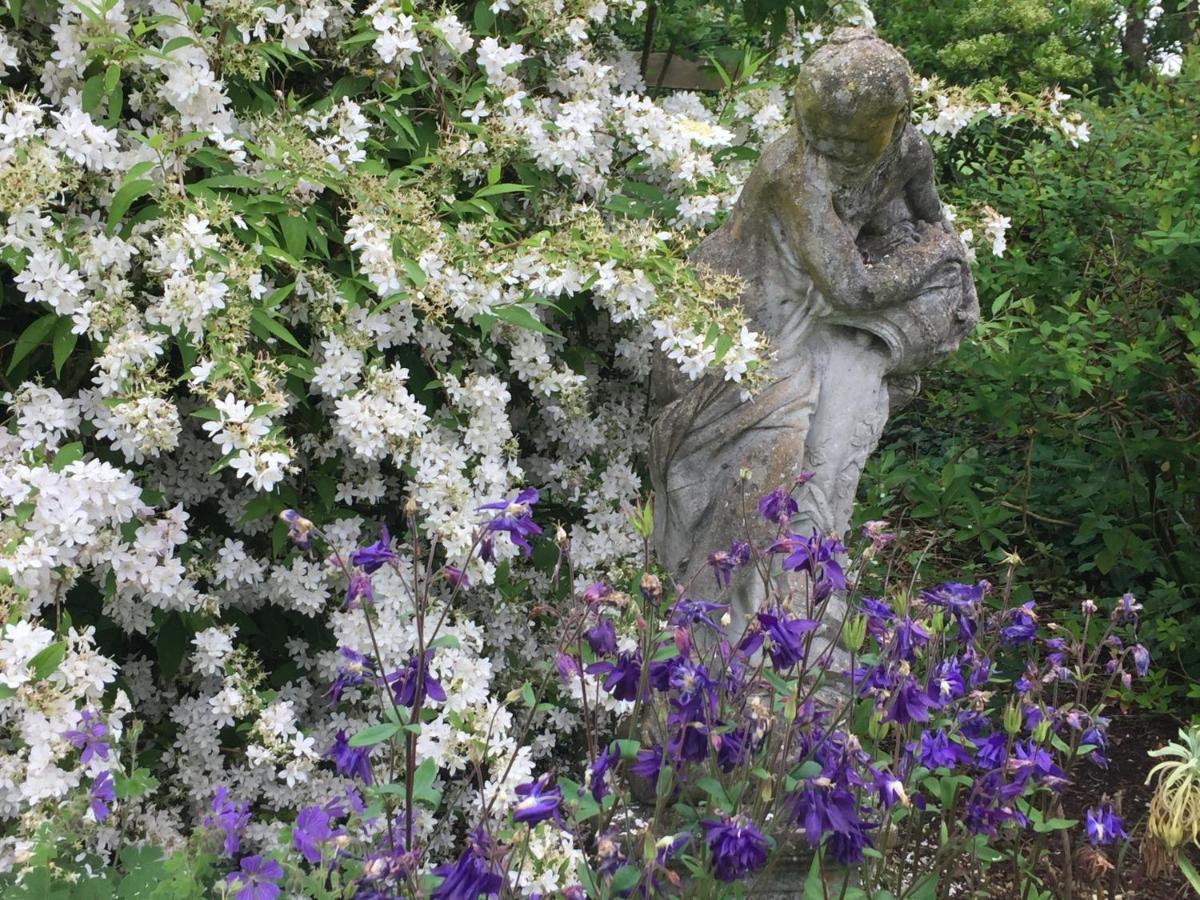 Bed and Breakfast Seymours Court Beckington Esterno foto